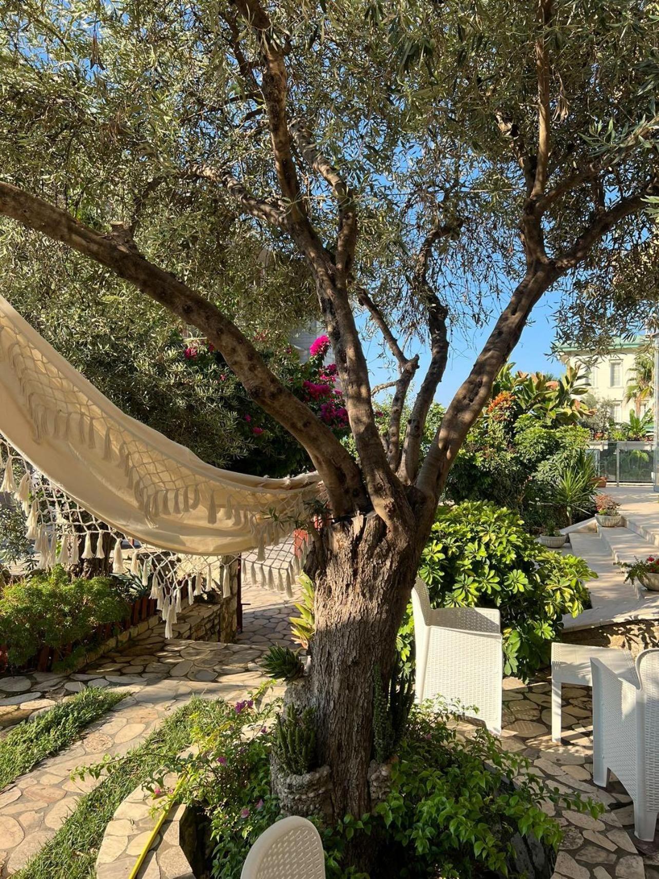 Hotel Orange Dhermi Bagian luar foto