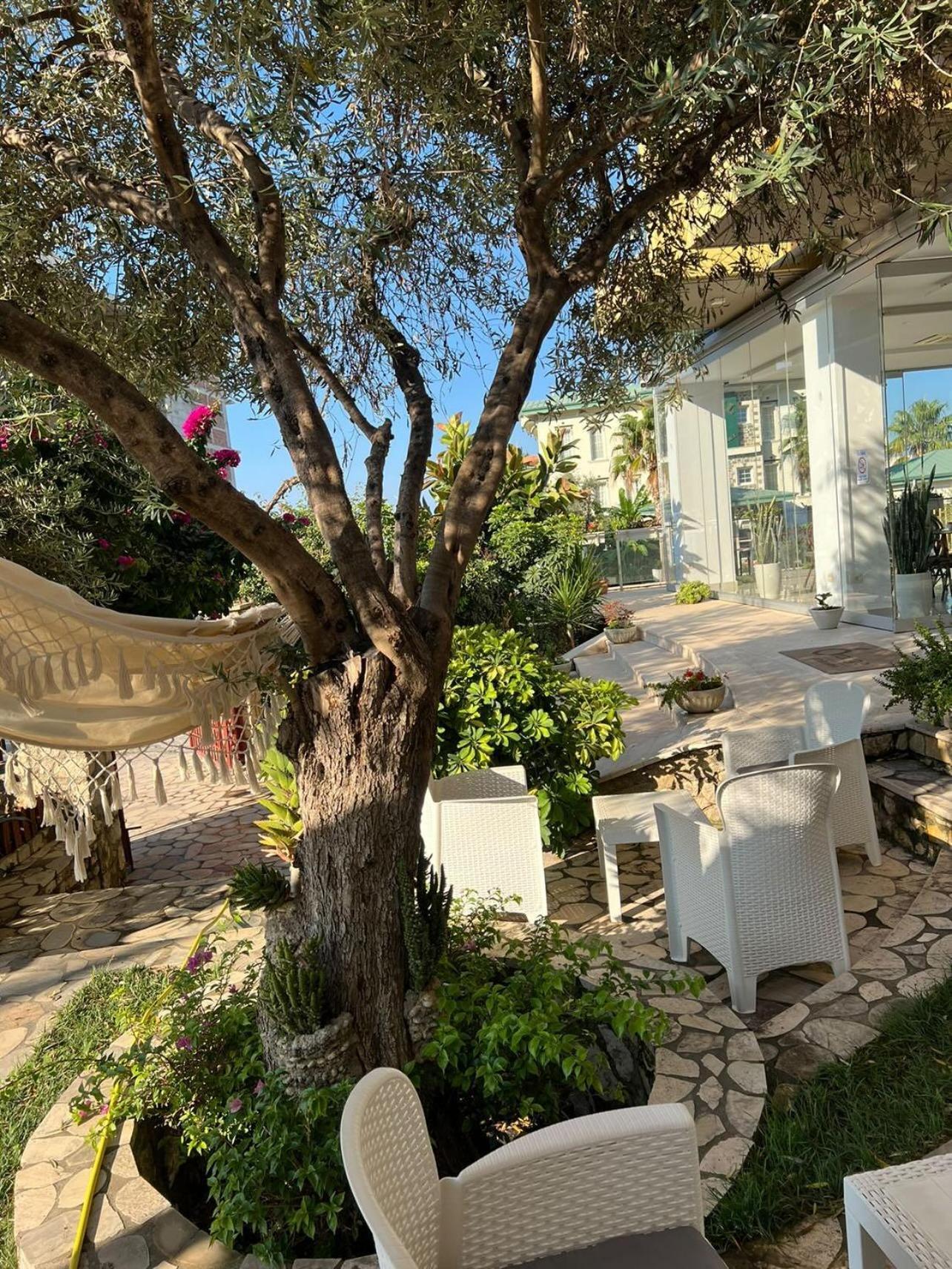 Hotel Orange Dhermi Bagian luar foto